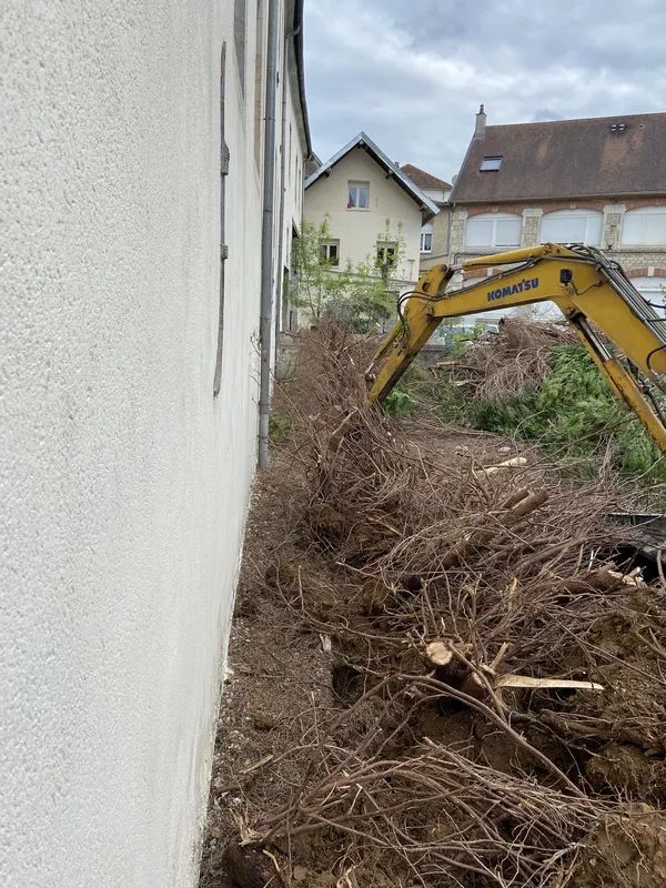 Enlèvement d'une haie de thuyas