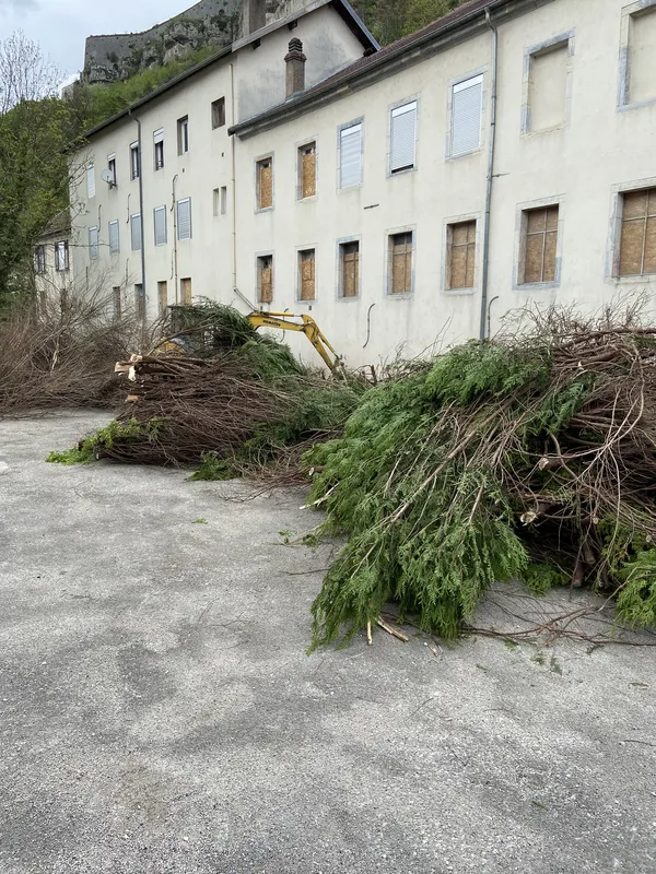 Enlèvement de haie, seconde vue